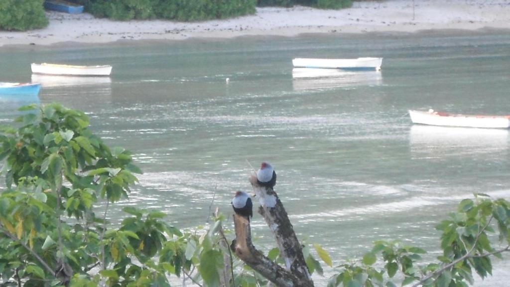 Bayview Villas Seychelles Anse Boileau Bagian luar foto